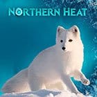 Northern Heat game thumbnail