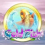 GoldfishPlayace